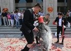 郑州上演生化危机版婚礼 新郎被食物轮番轰炸