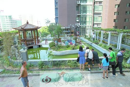 郑州再现楼顶私人花园：修凉亭鱼池种菜养鹅