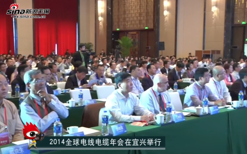 视频：第二届全球电线电缆年会在宜兴举行