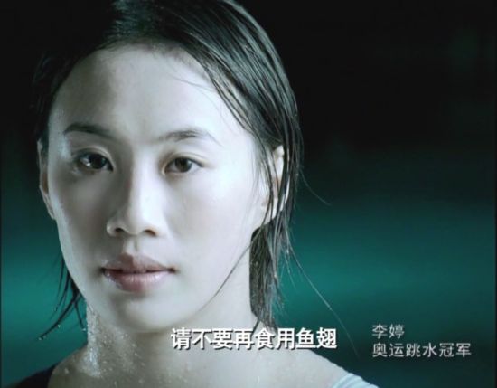 视频：《请不要再食用鱼翅》李婷奥运冠军系列